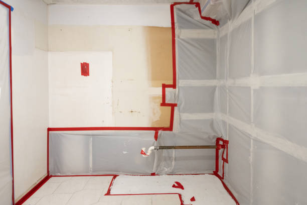 Mold Documentation for Insurance Claims in Odenton, MD